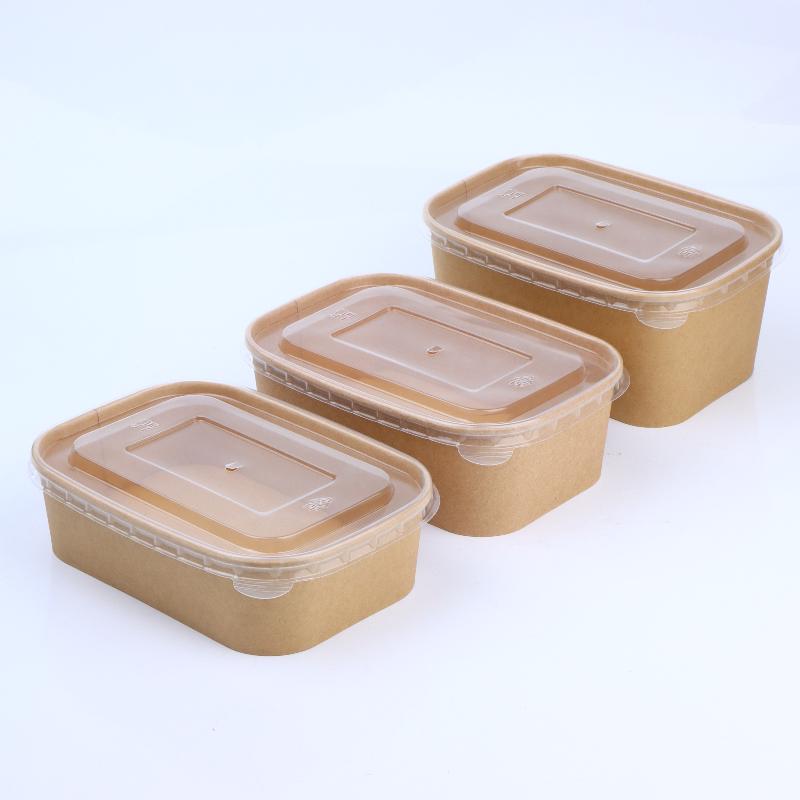 10 stuks vierkante wegwerp voe - Meal Prep Bowl recensie en prijs
