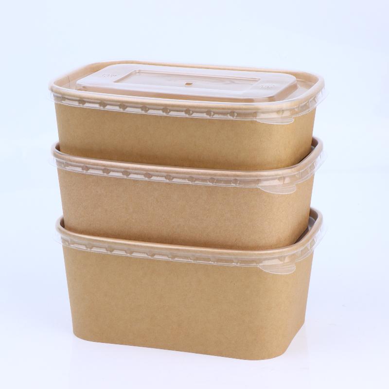 10 stuks vierkante wegwerp voe - Meal Prep Bowl recensie en prijs