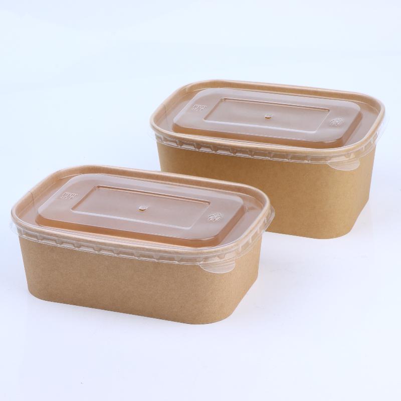10 stuks vierkante wegwerp voe - Meal Prep Bowl recensie en prijs