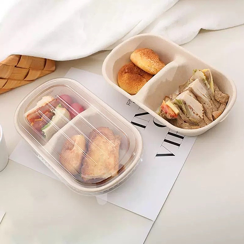10/50PCS Wegwerp Afhaaldozen L - Meal Prep Bowl recensie en prijs