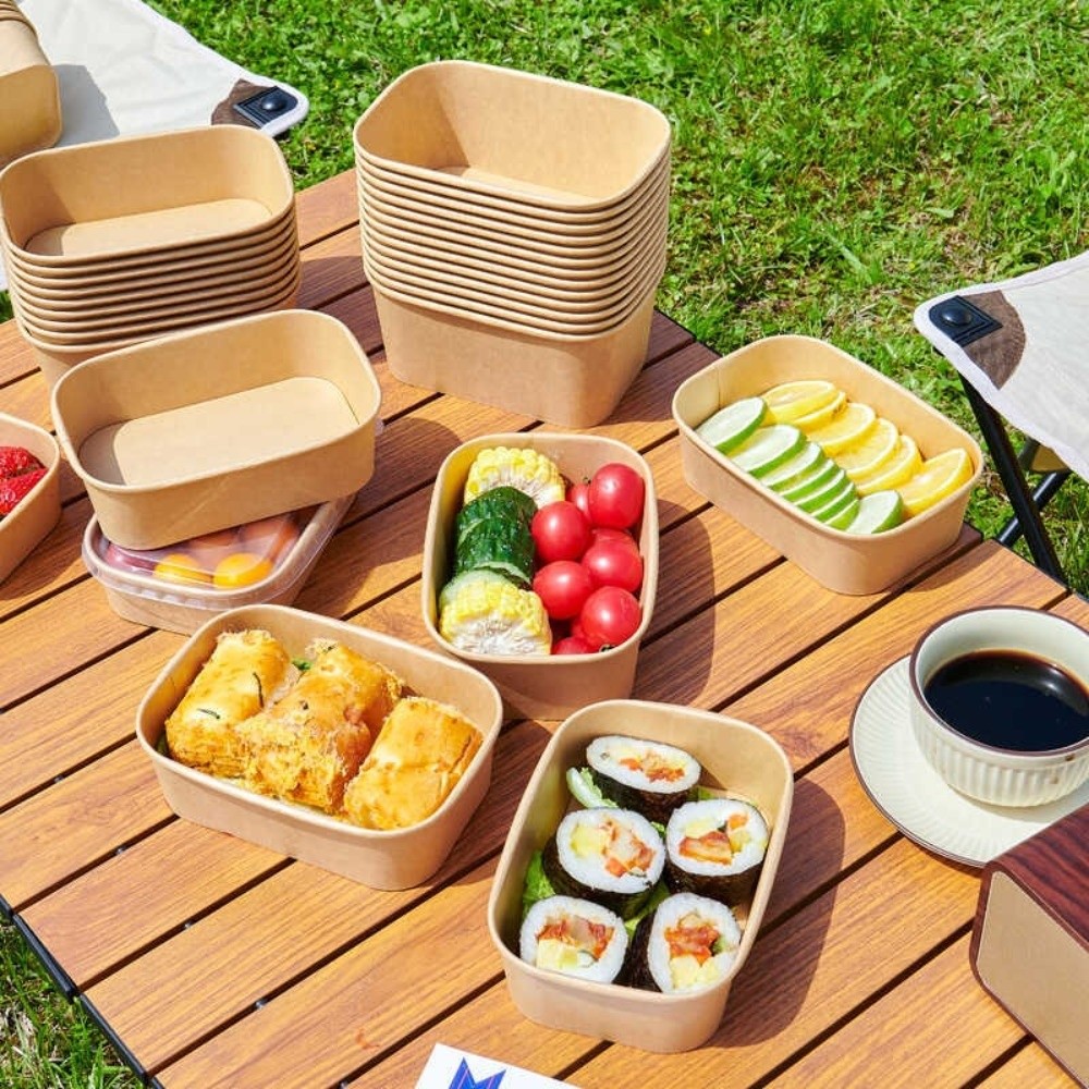 10 stks/set vierkante wegwerp  - Meal Prep Bowl recensie en prijs